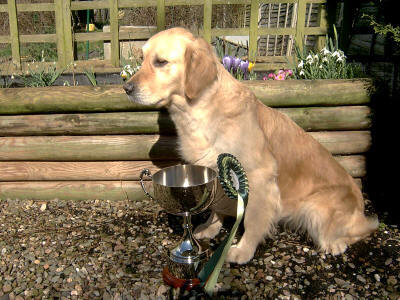 ultratron crufts trophy